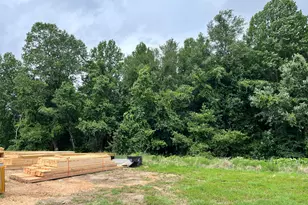 849 Lunar Light Dr, Wendell, NC 27591 - Photo 6