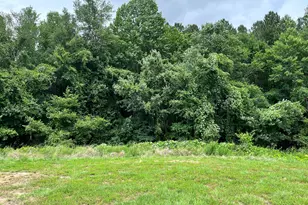 849 Lunar Light Dr, Wendell, NC 27591 - Photo 6