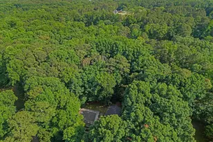 5705 Timber Ln, Raleigh, NC 27606 - Photo 54