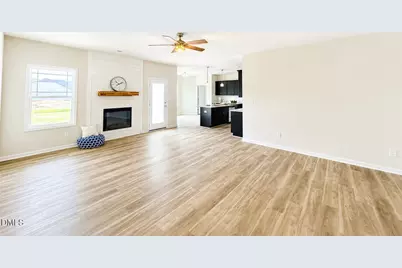 23 Huckleberry Bush Lane, Princeton, NC 27569 - Photo 4
