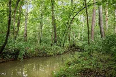 160 Roberson Creek Road, Pittsboro, NC 27312 - Photo 54