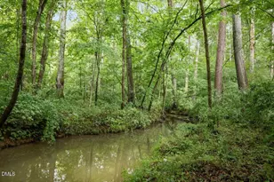 160 Roberson Creek Rd, Pittsboro, NC 27312 - Photo 54