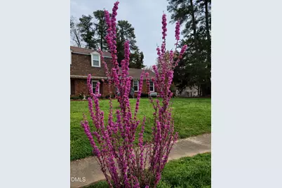 5000 Cedarwood Drive, Raleigh, NC 27609 - Photo 40