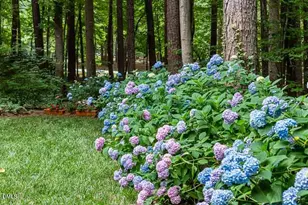 2 Foxridge Rd, Chapel Hill, NC 27514 - Photo 60