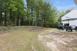325 Indian Branch Dr, Morrisville, NC 27560 - Photo 30