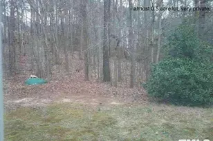 311 Halls Mill Dr, Cary, NC 27519 - Photo 2