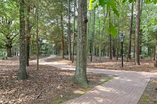 204 Oak Park Dr, Chapel Hill, NC 27517 - Photo 58