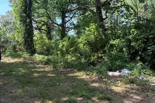 4425 NC-903, Robersonville, NC 27871 - Photo 16