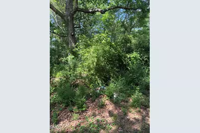 4425 Nc 903, Robersonville, NC 27871 - Photo 20
