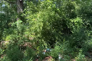 4425 NC-903, Robersonville, NC 27871 - Photo 20