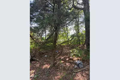 4425 Nc 903, Robersonville, NC 27871 - Photo 14