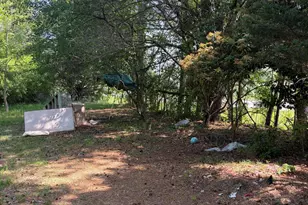 4425 NC-903, Robersonville, NC 27871 - Photo 12