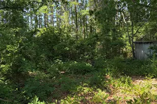 4425 NC-903, Robersonville, NC 27871 - Photo 18