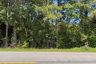 4425 NC-903, Robersonville, NC 27871 - Photo 2