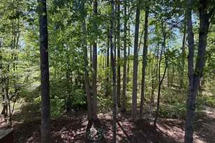 514 Mill Hopper Ln, Apex, NC 27502 - Photo 30