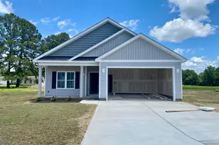213 Herring Rd, Princeton, NC 27569 - Photo 1