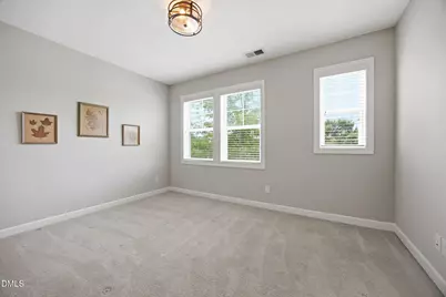 358 Tyner Loop Circle, Chapel Hill, NC 27516 - Photo 30