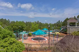 358 Tyner Loop Cir, Chapel Hill, NC 27516 - Photo 40