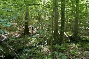 314 Old Salem Rd, Roxboro, NC 27573 - Photo 62
