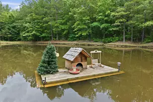 1656 Nc 42 Hwy, Moncure, NC 27559 - Photo 52