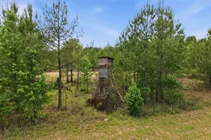 1656 Nc 42 Hwy, Moncure, NC 27559 - Photo 82