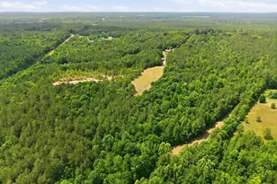 1656 Nc 42 Hwy, Moncure, NC 27559 - Photo 76