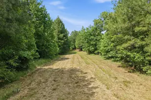 1656 Nc 42 Hwy, Moncure, NC 27559 - Photo 74