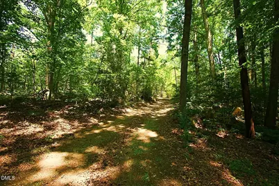 197 Oak Hill Road, Pittsboro, NC 27312 - Photo 6