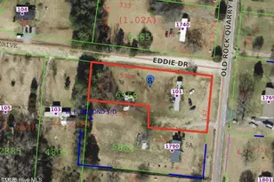 101 Eddie Dr, Princeton, NC 27569 - Photo 1