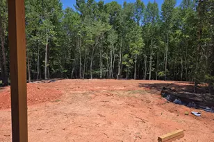3914 Cedar Knls Dr, Youngsville, NC 27596 - Photo 10