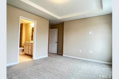 420 Sustainable Way, Raleigh, NC 27610 - Photo 10