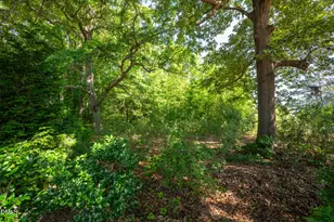 2702 Masonboro Ferry Dr, Apex, NC 27502 - Photo 52