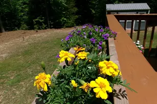 2302 Yellow Pine Dr, Graham, NC 27253 - Photo 22