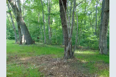 0 Walters Mill Road, Providence, NC 27315 - Photo 12