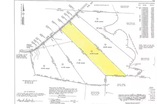 2700 Propus Wilkinson Rd, Bullock, NC 27507 - Photo 4