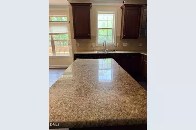 912 River Song Place, Cary, NC 27519 - Photo 18