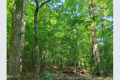 0 Hicks Farm Road, Staley, NC 27355 - Photo 10