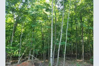0 Hicks Farm Road, Staley, NC 27355 - Photo 8