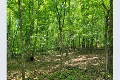 0 Hicks Farm Road, Staley, NC 27355 - Photo 12