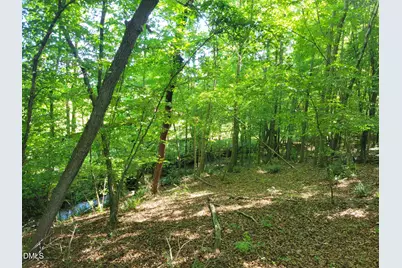 0 Hicks Farm Road, Staley, NC 27355 - Photo 12