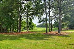 300 Olde Liberty Dr, Youngsville, NC 27596 - Photo 18