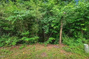 4704 Blue Bird Ct, Raleigh, NC 27606 - Photo 26