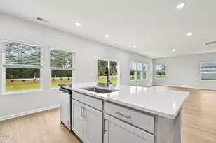 54 White Birch Ln, Angier, NC 27501 - Photo 18