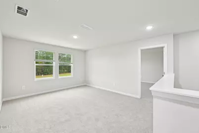 54 White Birch Lane, Angier, NC 27501 - Photo 20