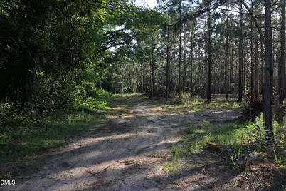 0 Johnson Pond Road, Red Springs, NC 28377 - Photo 8