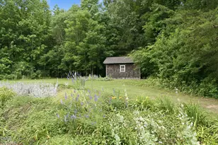 4124 Swannie Coble Rd, Snow Camp, NC 27349 - Photo 48