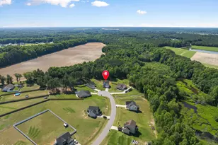 546 Brodie Rose Landing Way, Smithfield, NC 27577 - Photo 32