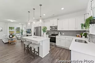 272 Camel Crazies Pl, Lillington, NC 27546 - Photo 4