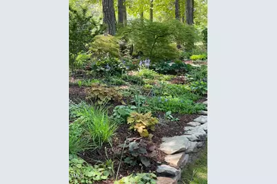 27425 Walker, Chapel Hill, NC 27517 - Photo 50