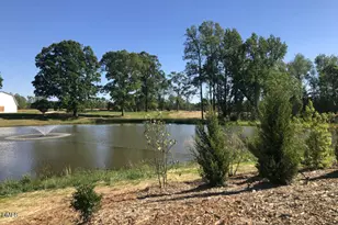 203 Condra Rd, Holly Springs, NC 27540 - Photo 22